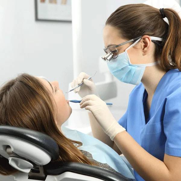 dentist Blenheim ON Blenheim, ON